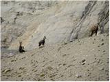 Rifugio Dibona - Bivacco Baracca degli Alpini